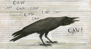 Sample content_Clever Crow