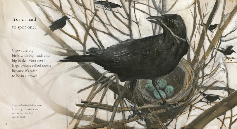 Sample content 3_Clever Crow