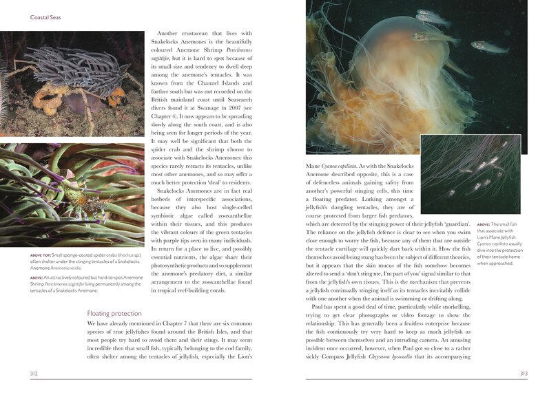 Sample content_Coastal Seas