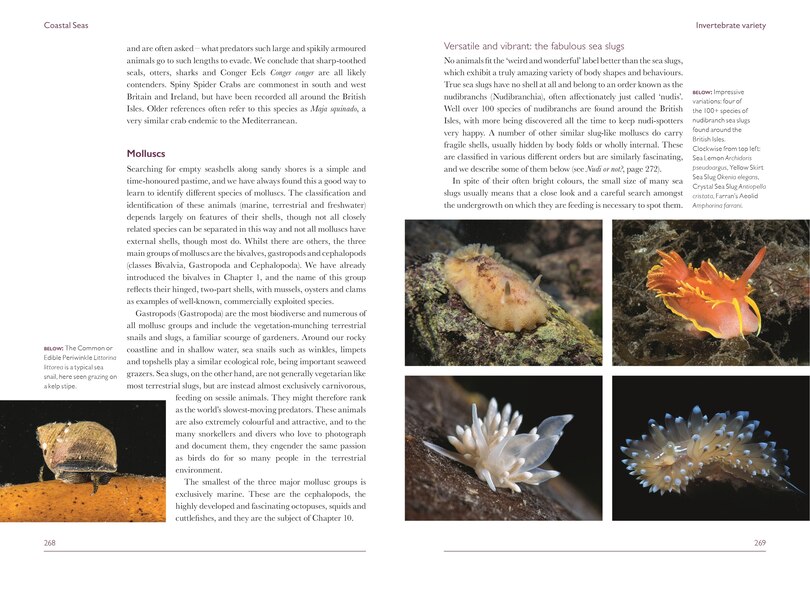 Sample content 2_Coastal Seas