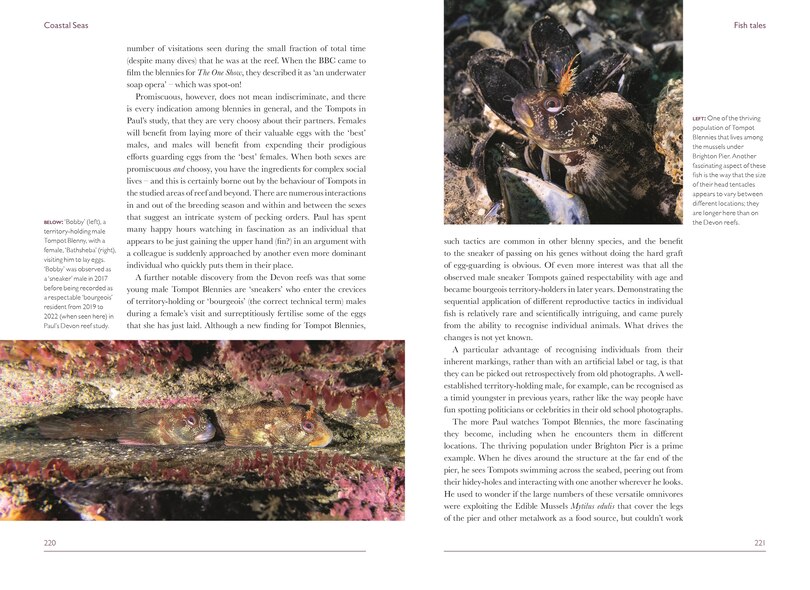 Sample content 4_Coastal Seas