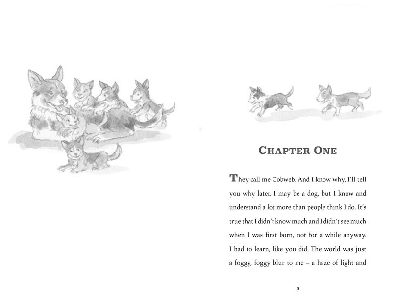 Sample content_Cobweb