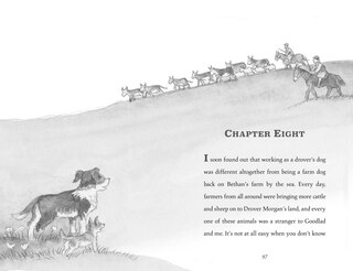 Sample content 2_Cobweb