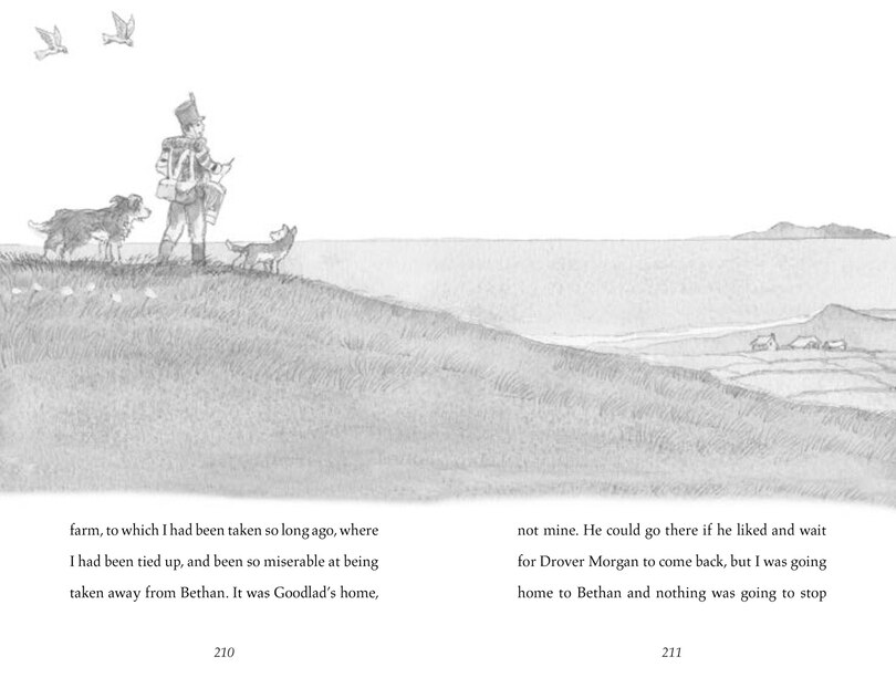 Sample content 3_Cobweb