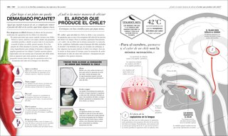 Sample content_Cocinología (The Science of Cooking)