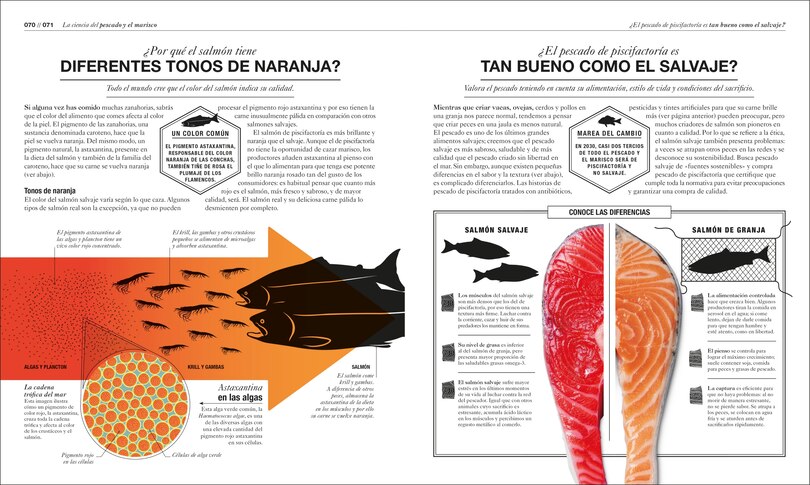 Sample content 3_Cocinología (The Science of Cooking)