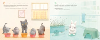 Sample content 3_Coco and Stephen, Together Forever