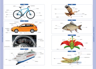 Aper&ccedil;u du contenu 4_Collins COBUILD Advanced American English Dictionary