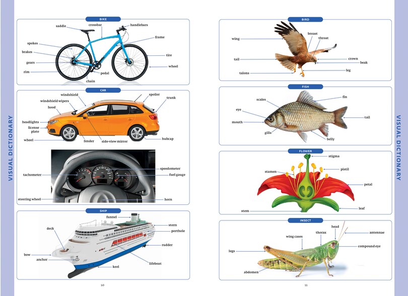 Aper&ccedil;u du contenu 4_Collins COBUILD Advanced American English Dictionary