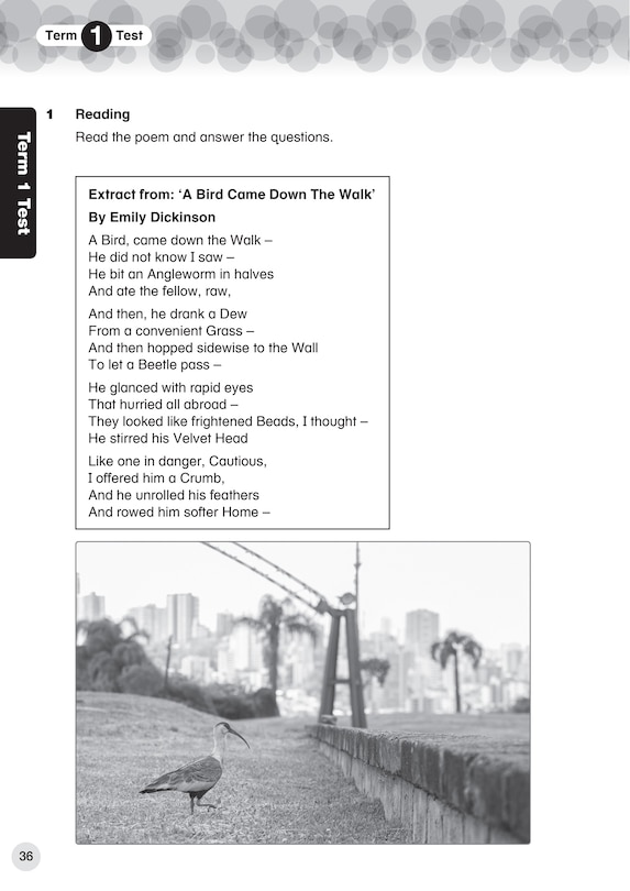 Aper&ccedil;u du contenu 2_Collins International Primary English