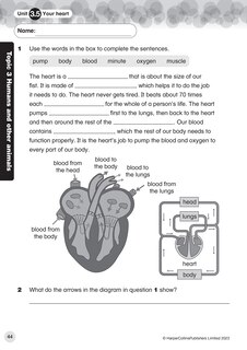 Sample content 3_Collins International Primary Science