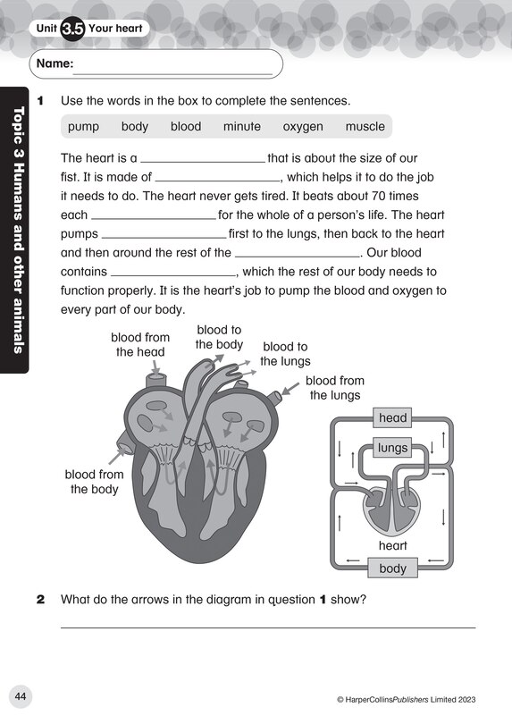 Sample content 3_Collins International Primary Science