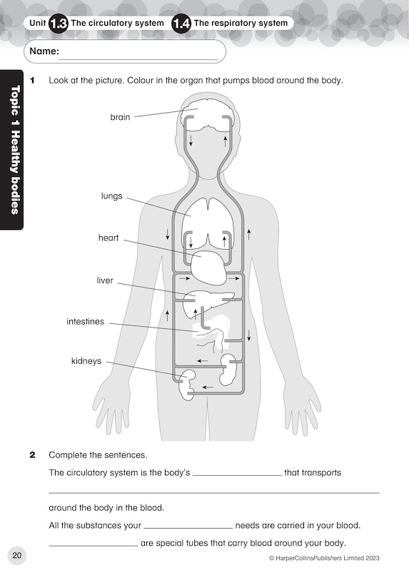 Sample content 2_Collins International Primary Science