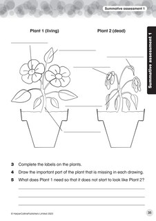 Sample content 4_Collins International Primary Science