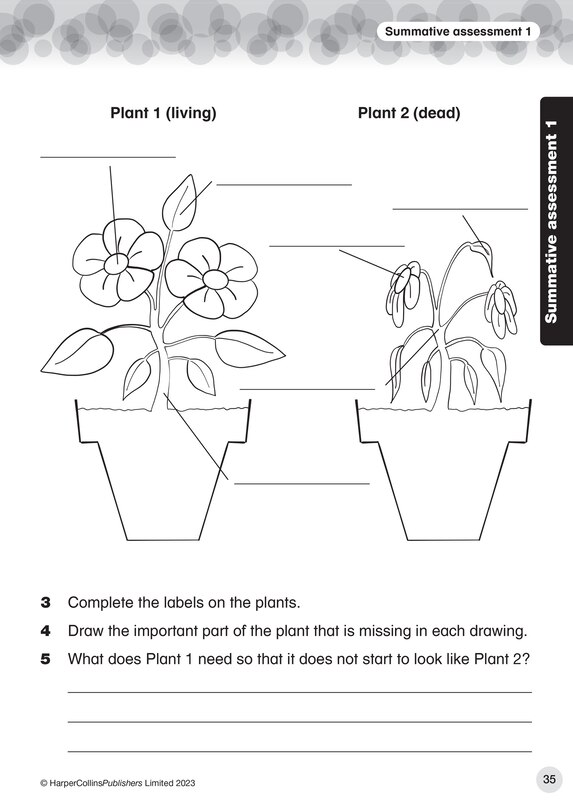 Sample content 4_Collins International Primary Science
