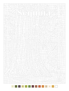 Sample content_Color by Numbers US National Parks