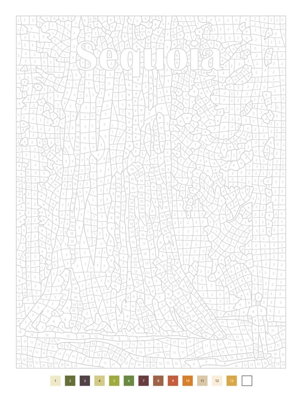 Sample content_Color by Numbers US National Parks