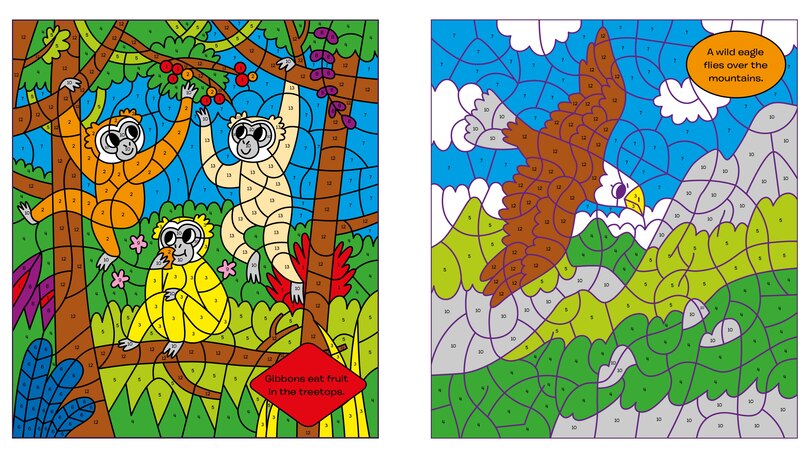 Sample content_Color by Numbers: Wild Animals