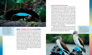 Sample content 3_Color in Nature