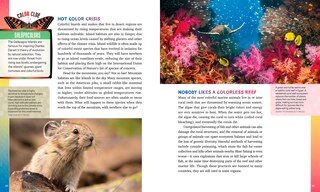 Sample content 4_Color in Nature