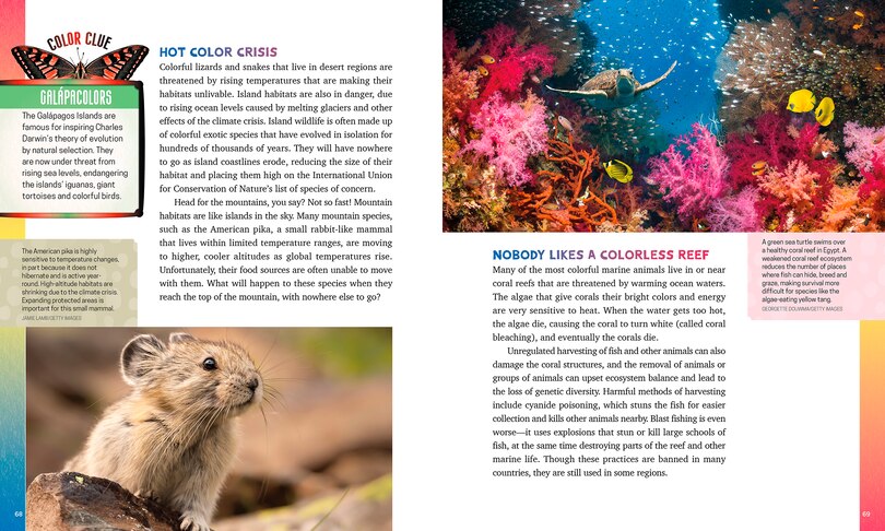 Sample content 4_Color in Nature