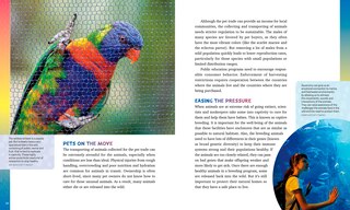 Sample content 5_Color in Nature
