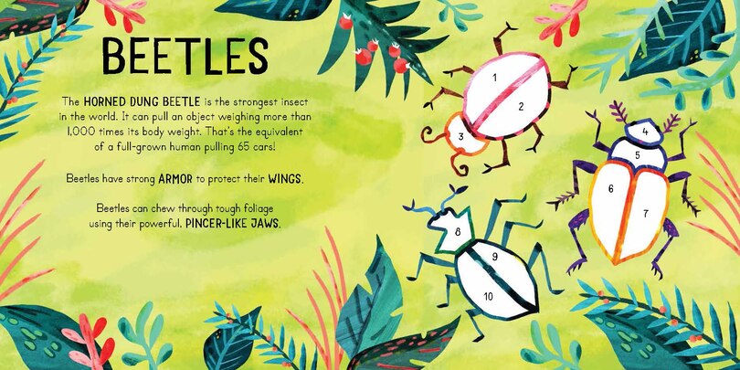 Sample content 2_Color With Stickers: Jungle