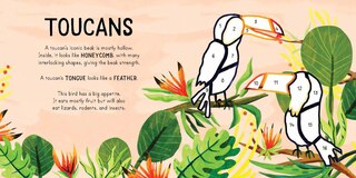 Sample content 3_Color With Stickers: Jungle
