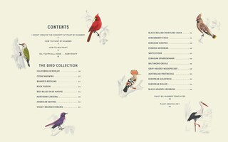 Aperçu du contenu 4_Coloready Birds