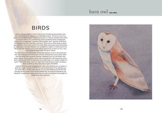 Sample content_Colour Mixing Guide: Watercolour Woodland, The