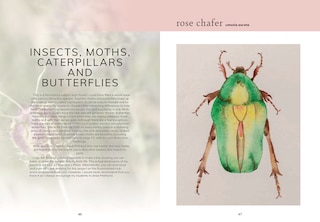 Sample content 2_Colour Mixing Guide: Watercolour Woodland, The