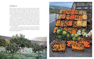 Aperçu du contenu_Coming Home to Sicily