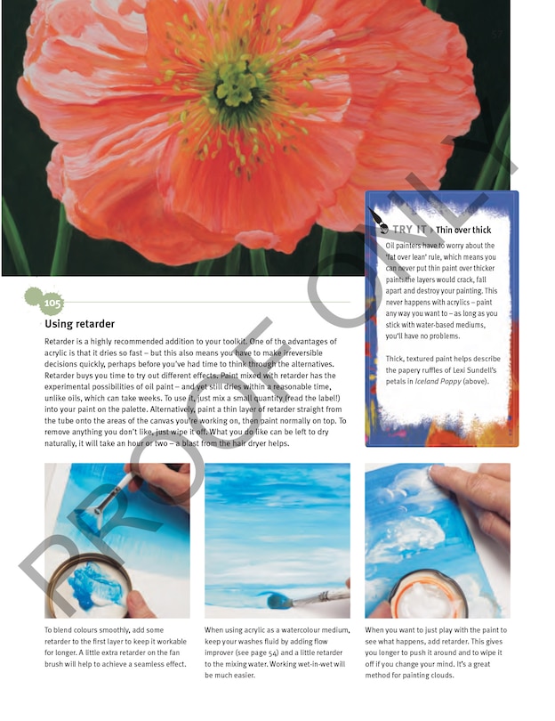 Aper&ccedil;u du contenu 4_Compendium of Acrylic Painting Techniques