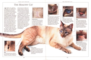 Sample content_Complete Cat Care Manual