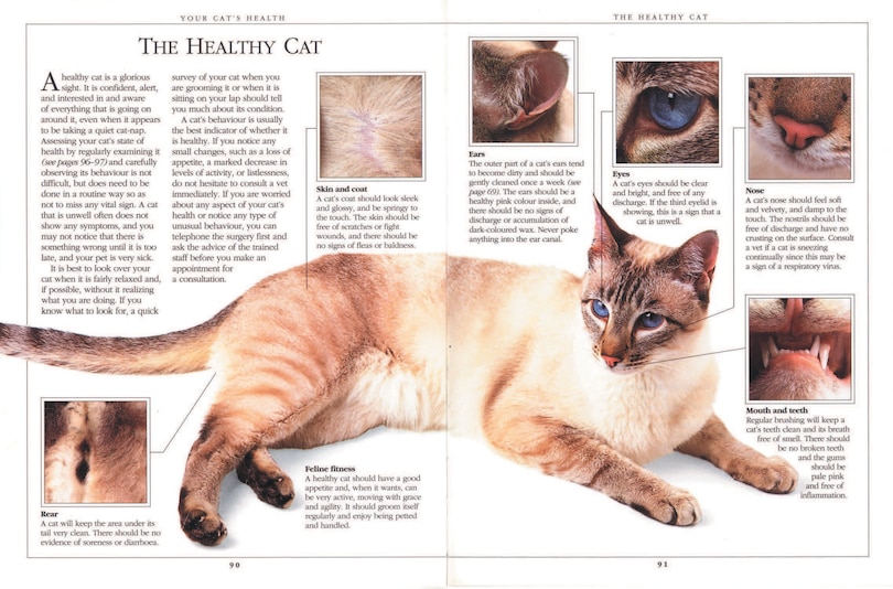 Sample content_Complete Cat Care Manual