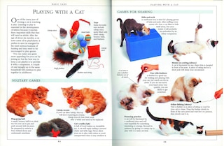 Sample content 4_Complete Cat Care Manual