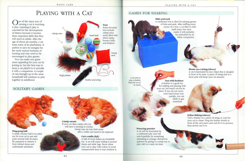 Sample content 4_Complete Cat Care Manual