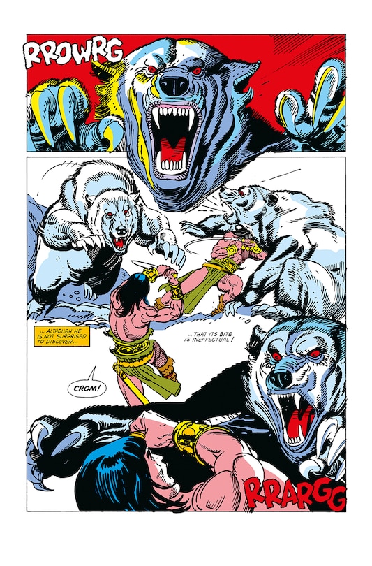 Aperçu du contenu_Conan The Barbarian: The Original Comics Omnibus Vol.5