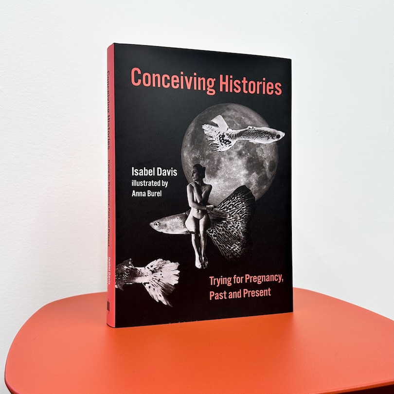 Aperçu du contenu_Conceiving Histories