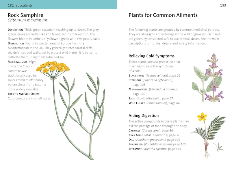 Aperçu du contenu_Concise Medicinal Plants Guide