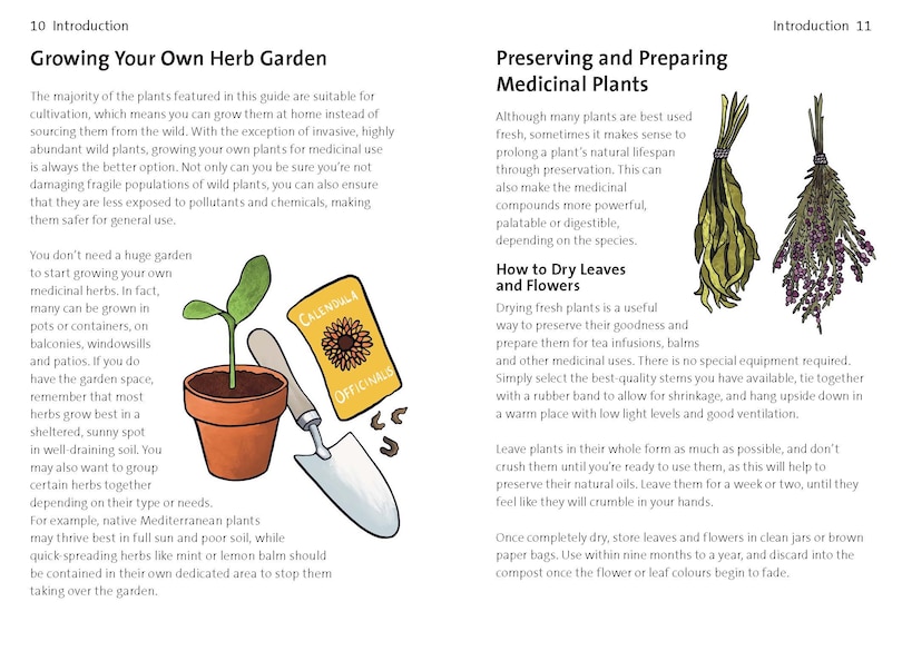 Aperçu du contenu 5_Concise Medicinal Plants Guide