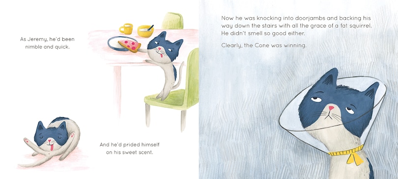 Sample content_Cone Cat