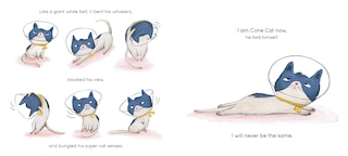 Sample content 2_Cone Cat