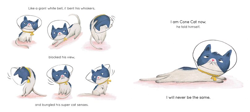 Sample content 2_Cone Cat