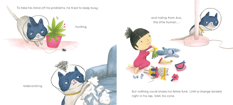 Sample content 3_Cone Cat