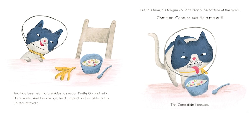 Sample content 4_Cone Cat