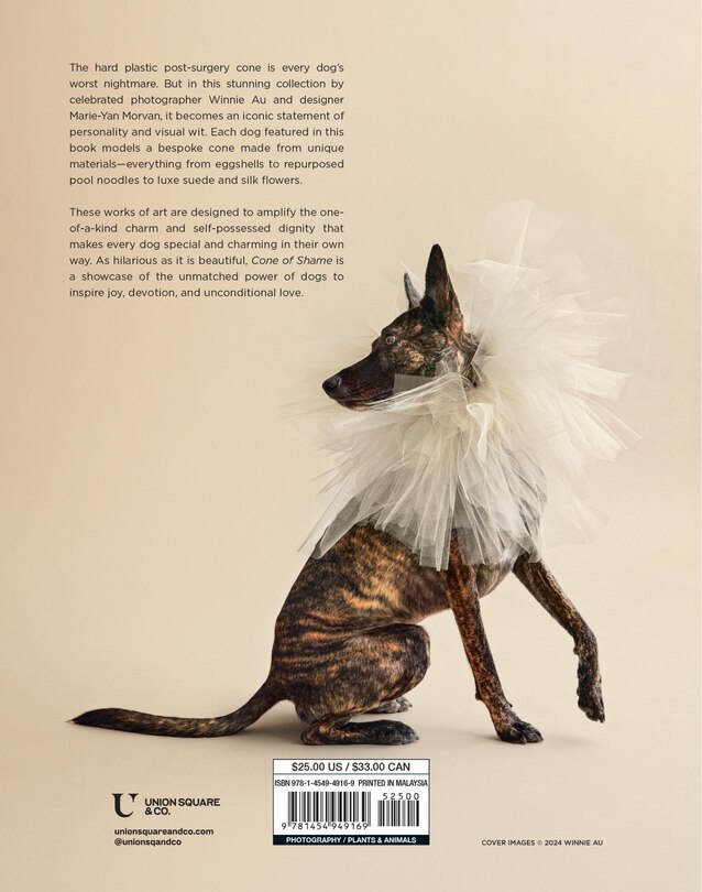 Back cover_Cone of Shame