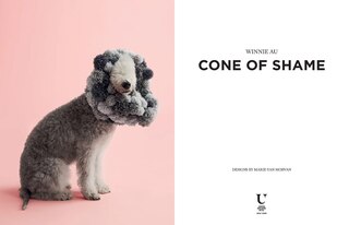 Sample content_Cone of Shame