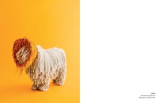 Sample content 3_Cone of Shame