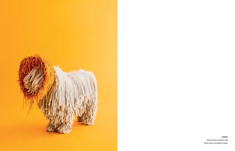 Sample content 3_Cone of Shame